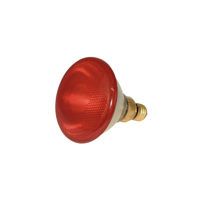 EF heating lamp eco 175W, red, PAR38