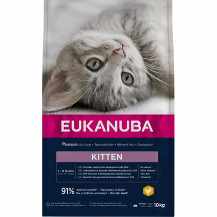 Eukanuba Cat Kitten Healthy Start, 10 kg