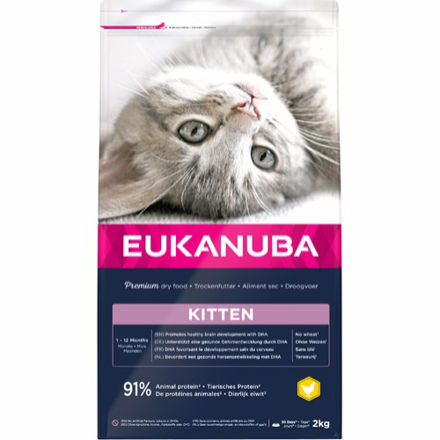 Eukanuba Cat Kitten Healthy Start, 2 kg