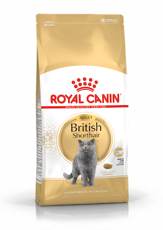 Royal Canin British Shorthair Adult  2kg