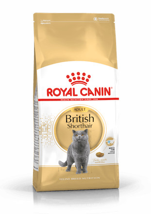 Royal Canin  British Shorthair Adult  10kg