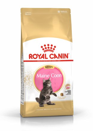 Royal Canin  Kitten Mainecoon 2kg