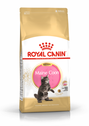 Royal Canin  Kitten Mainecoon 4kg