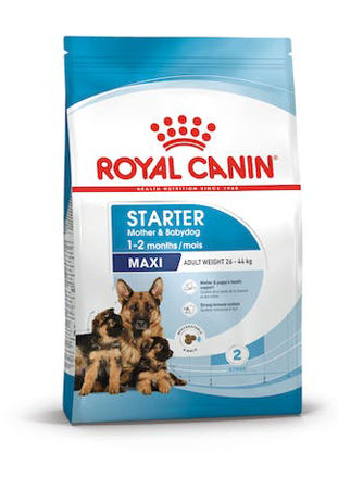 Royal Canin Dog Maxi Starter M&B 15kg