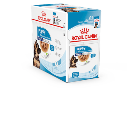 Royal Canin Dog SHN Maxi Puppy våtfor 10x140g