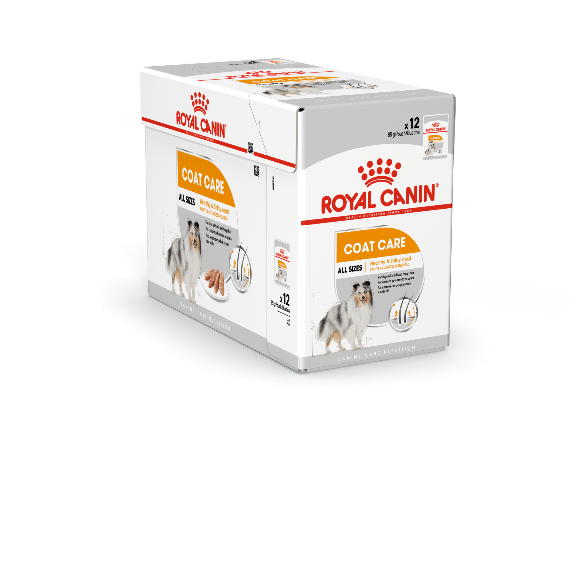 Royal Canin Dog Coat Care 12x85G våtfor