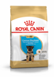 German Shepherd  Puppy 12kg