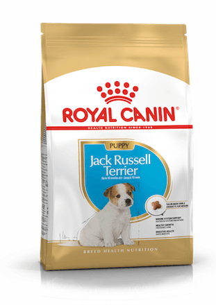 Jack Russel Puppy 1,5kg