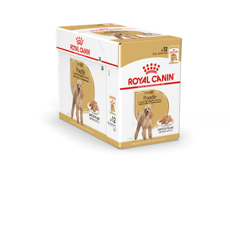 Royal Canin Poodle Adult Wet 12x85gr