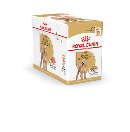 Royal Canin Poodle Adult Wet 12x85gr