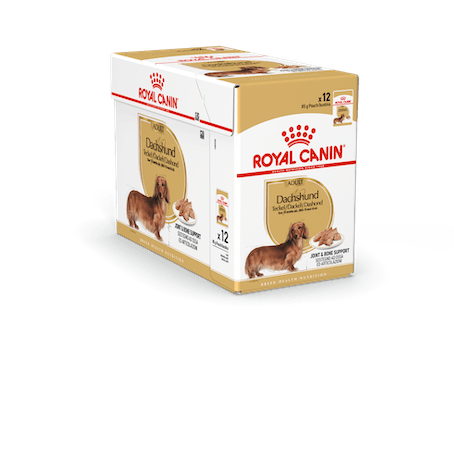 Royal Canin Dachshund Adult Wet 12x85gr