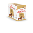Royal Canin Dachshund Adult Wet 12x85gr