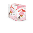 Royal Canin Cat Kitten Inst. Jelly 85gram 1 stk.