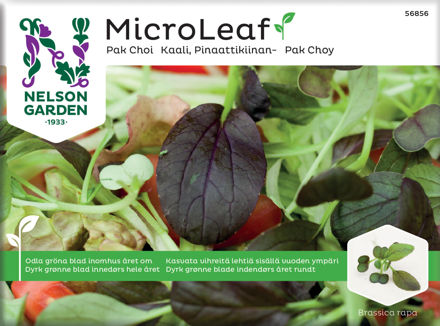 Micro Leaf Pak Choi Nelson Garden