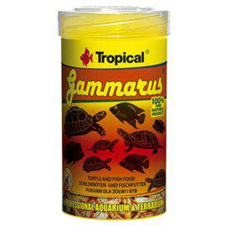 Tropical Gammarus 100ml