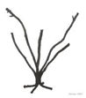 ExoTerra Jungle Tree L, ca. 58 cm