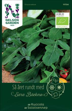 Salatsennep, Rucola, Organic, Nelson Garden