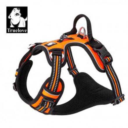 Truelove sele "X6" orange s (43-56cm)