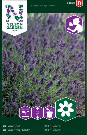 Lavendel, Nelson Garden