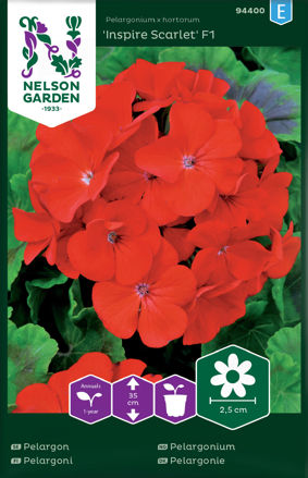 Pelargonium, Inspire Scarlet F1, rød, Nelson Garden