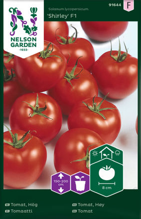 Tomat, Shirley F1, Nelson Garden