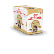 Royal Canin Cat Maine Coon 85g 1stk